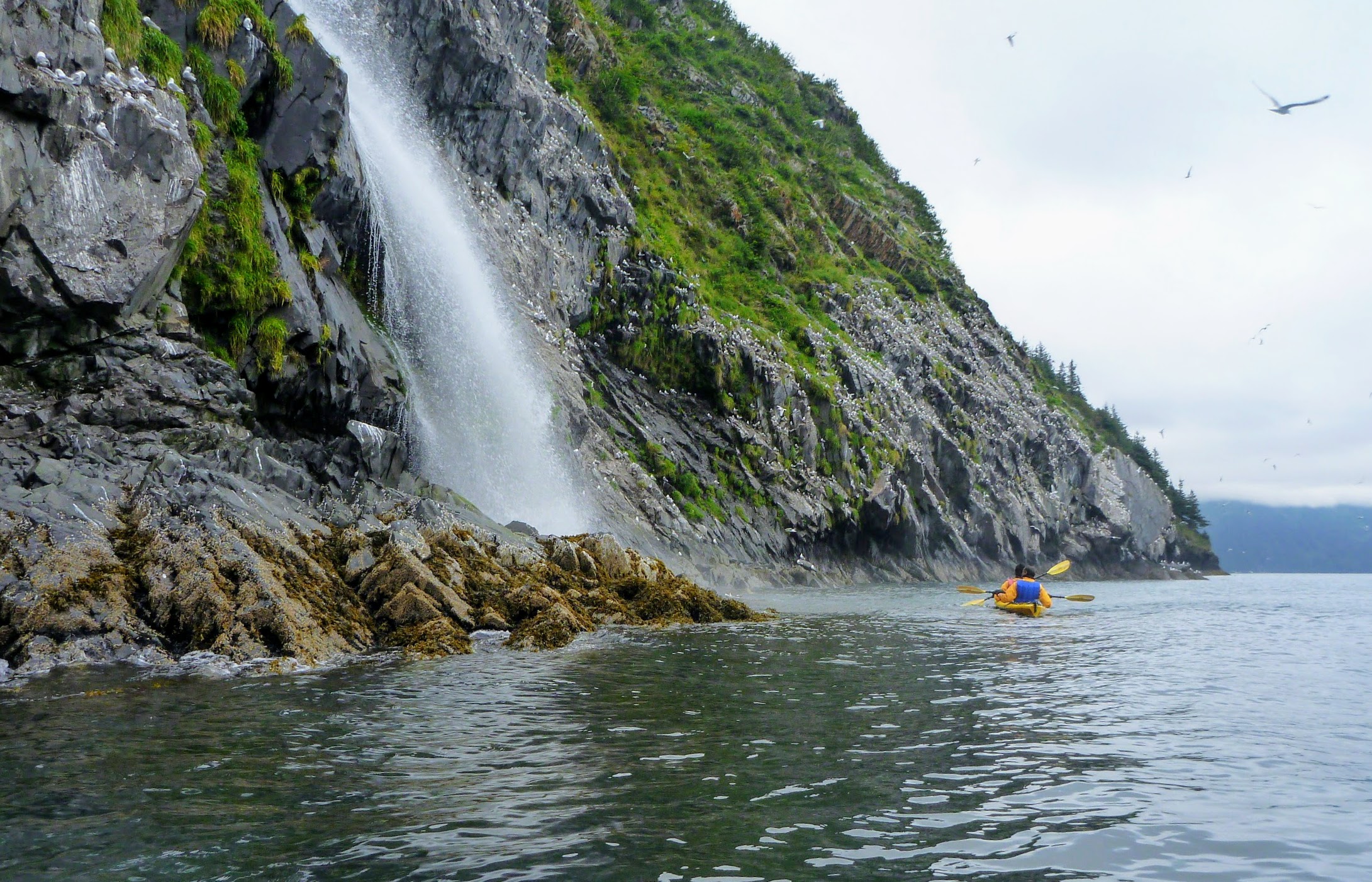 sea kayak tours whittier